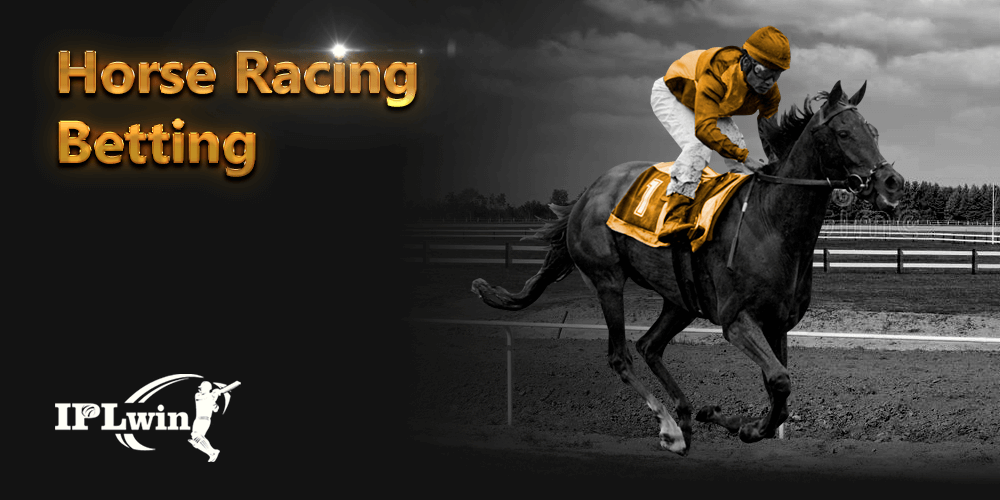 Bet exchange